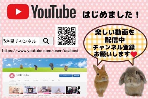 �Ķ��Ԥ��Ԥ��ޥ륷��Youtube���饷burogu.jpg